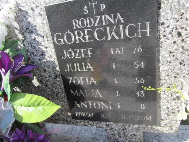Julia Górecka Paczółtowice - Grobonet - Wyszukiwarka osób pochowanych