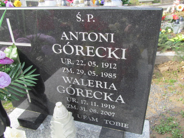 Antoni Górecki 1912 Paczółtowice - Grobonet - Wyszukiwarka osób pochowanych